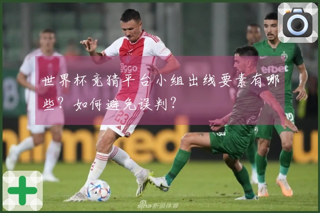 世界杯竞猜平台小组出线要素有哪些？如何避免误判？